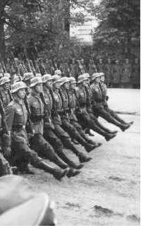 Hitler's army style military march